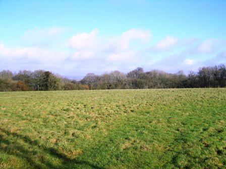 Tree Tops Locks Drove Pill Heath Andover SP11 0JQ